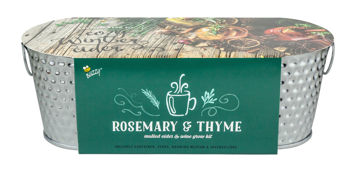 Holiday Spiced Cider Windowsill Herb Kit