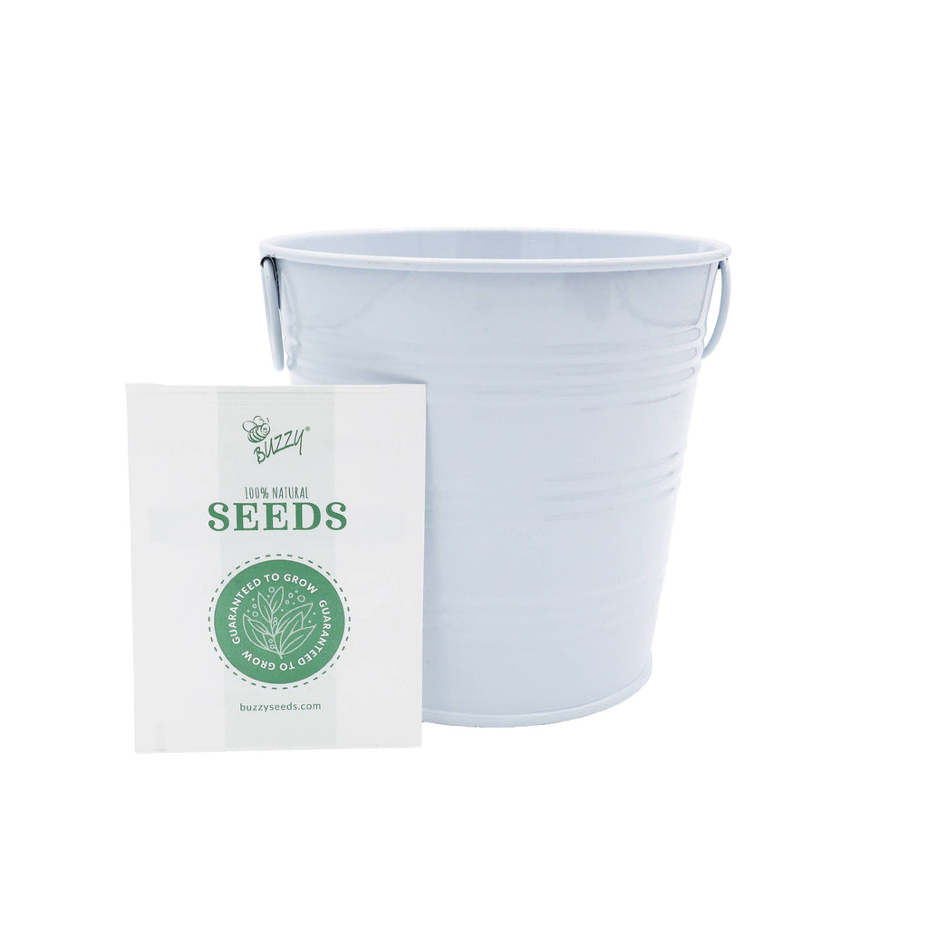 Americana Pails | Patriotic Garden Kit | Decorative Pail