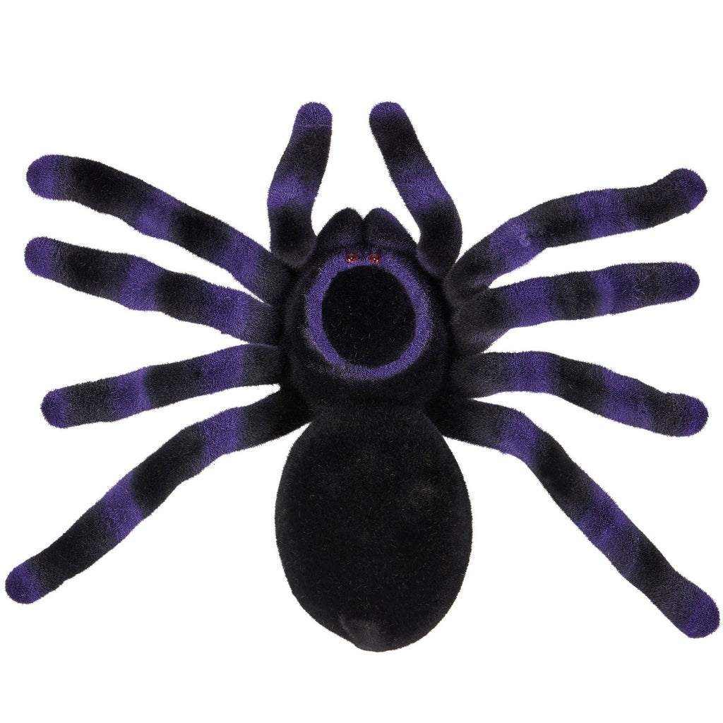 Large Purple Flocked Spider