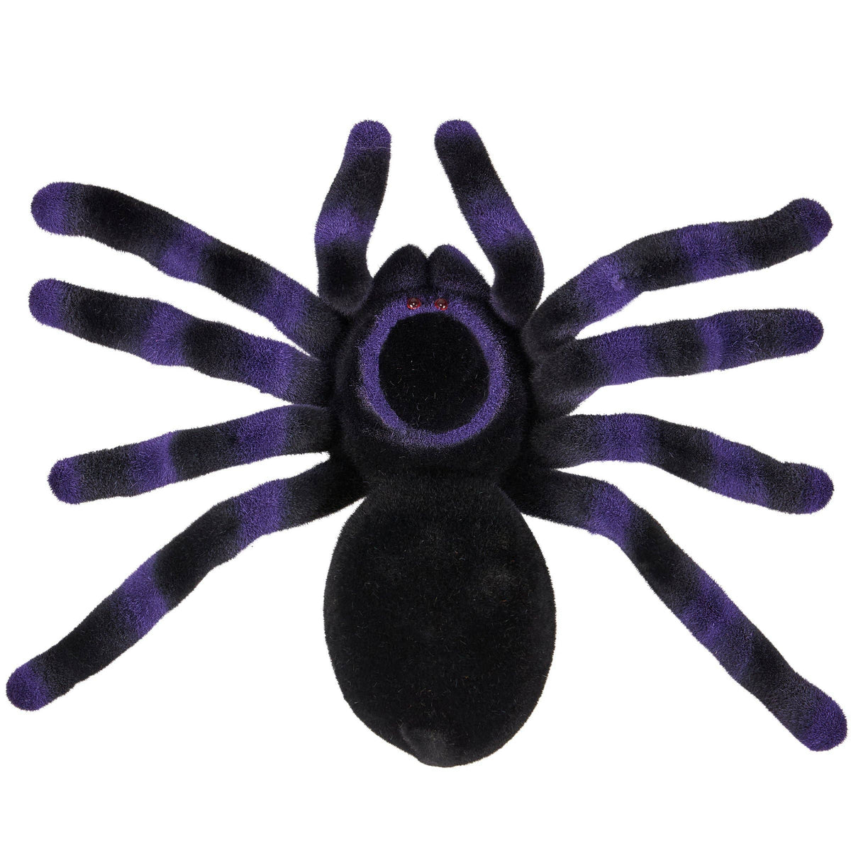 Large Purple Flocked Spider