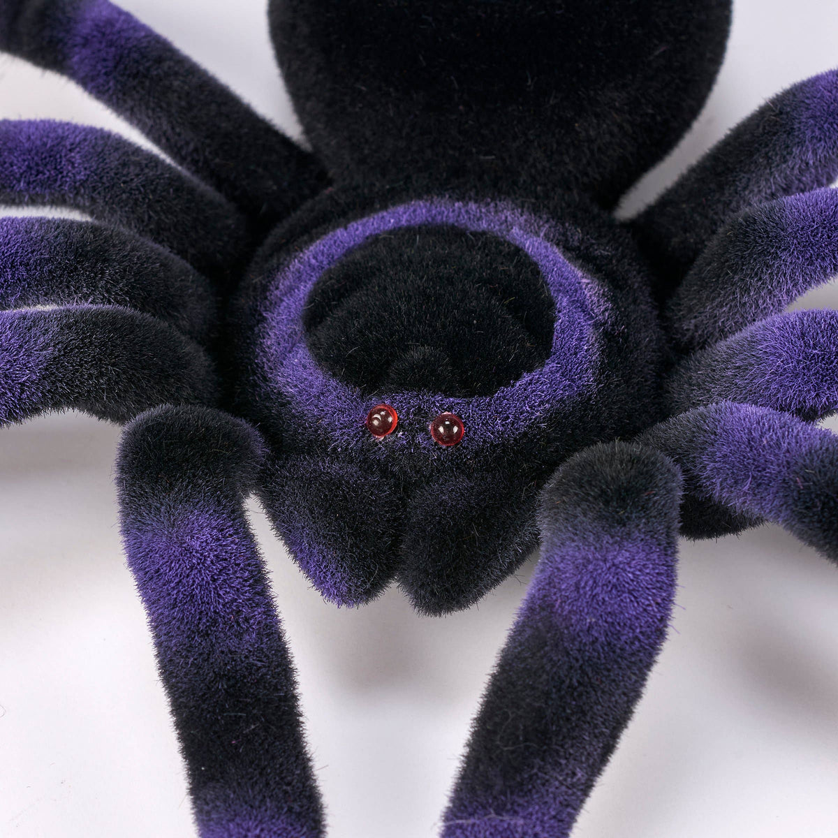 Large Purple Flocked Spider