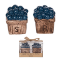 Blueberry Basket S/P