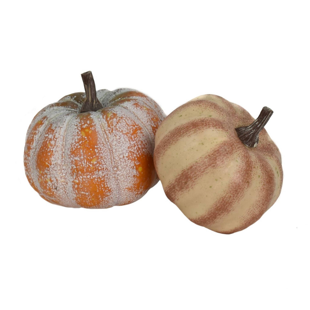 2.5"-3" Fairytale Pumpkins Set of Two