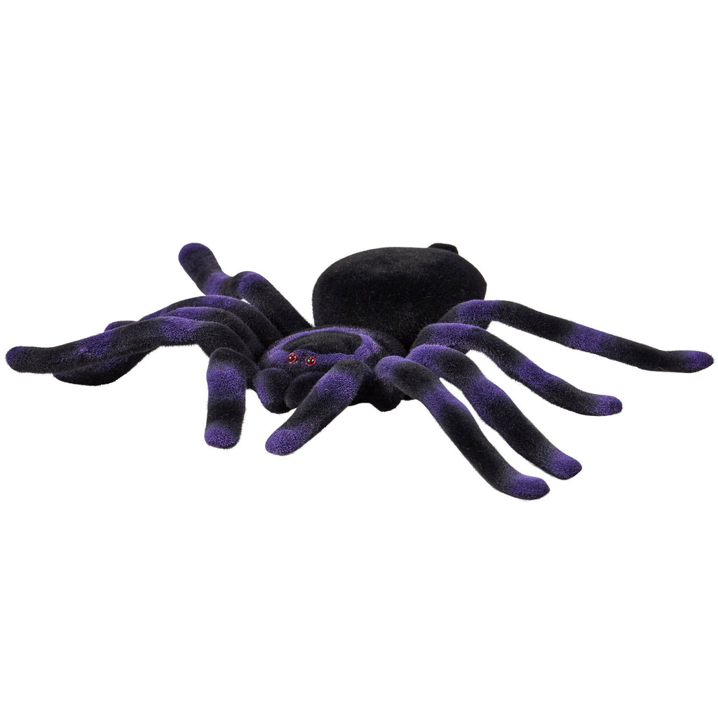 Large Purple Flocked Spider
