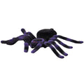 Large Purple Flocked Spider