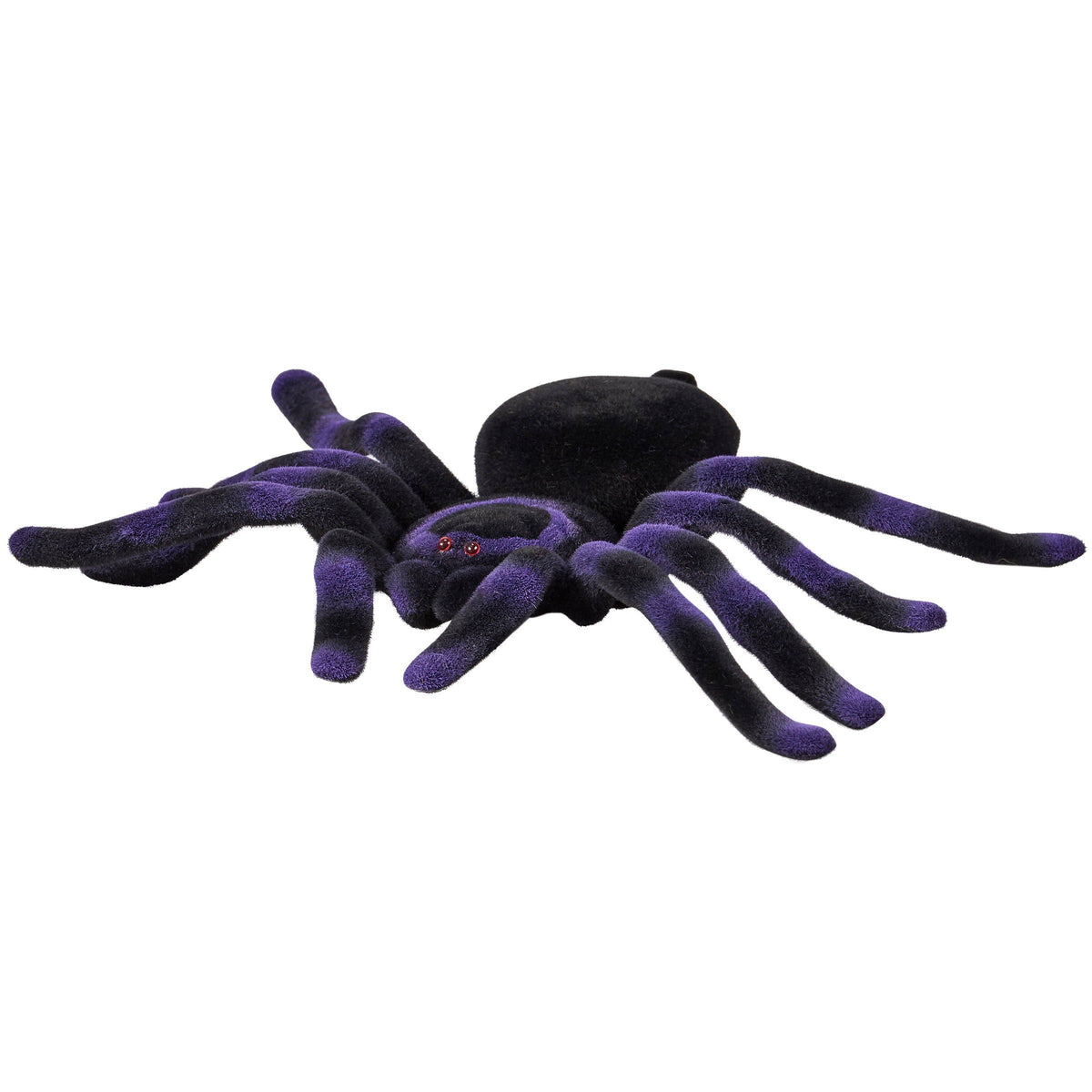 Large Purple Flocked Spider