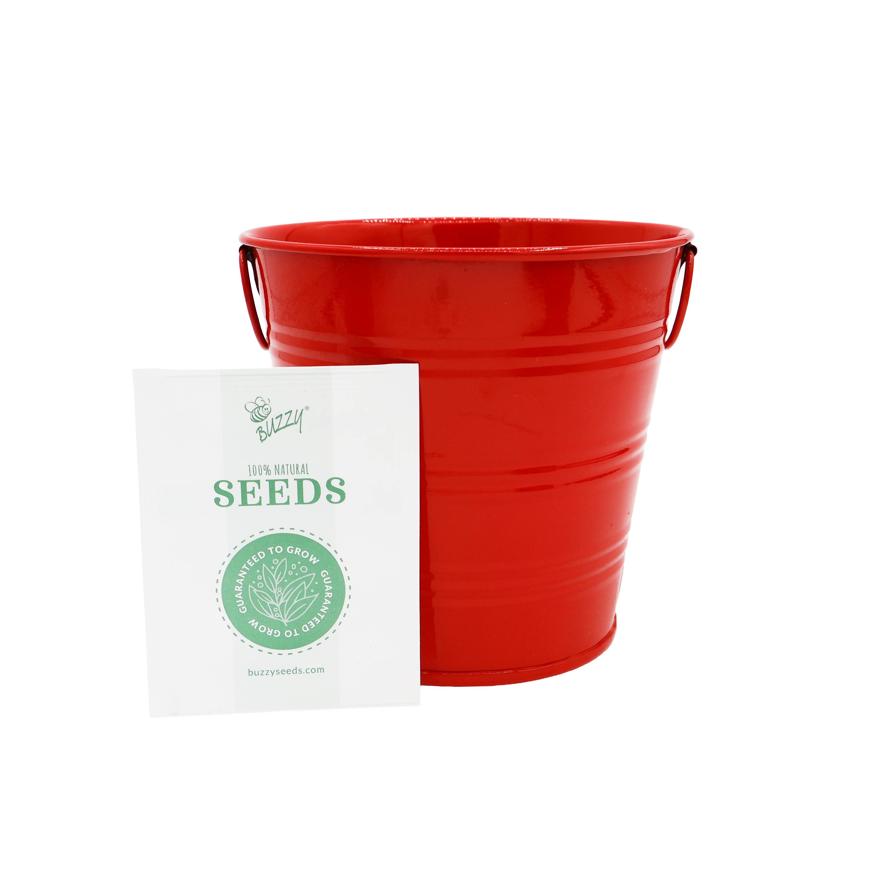 Americana Pails | Patriotic Garden Kit | Decorative Pail