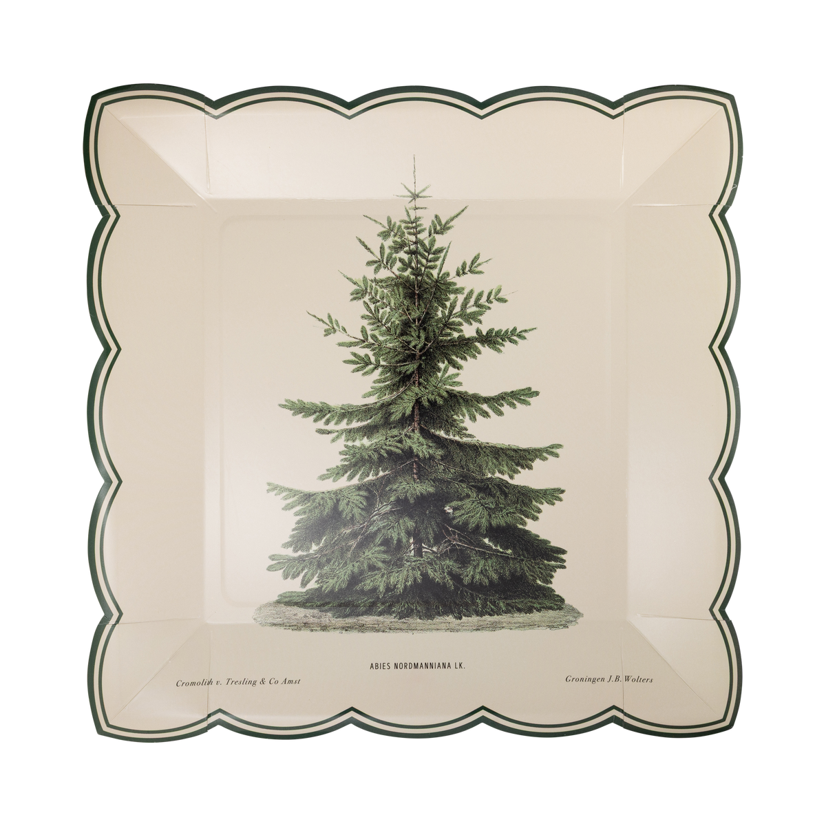Vintage Tree Plate - 10"