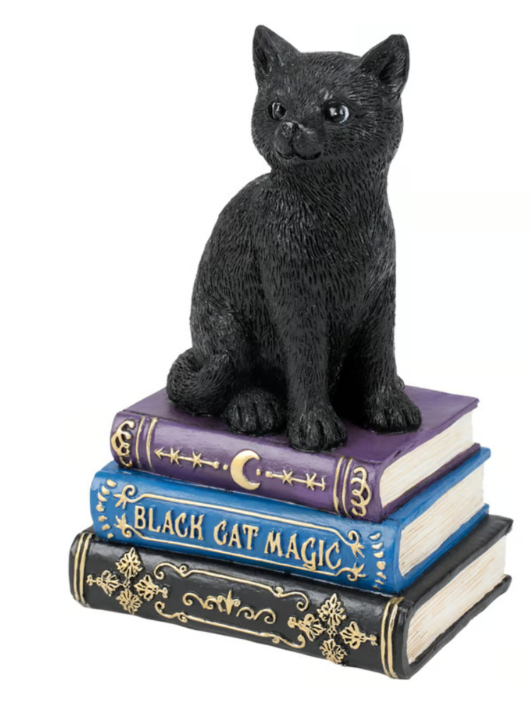 Black Cat Spell Books Figurine