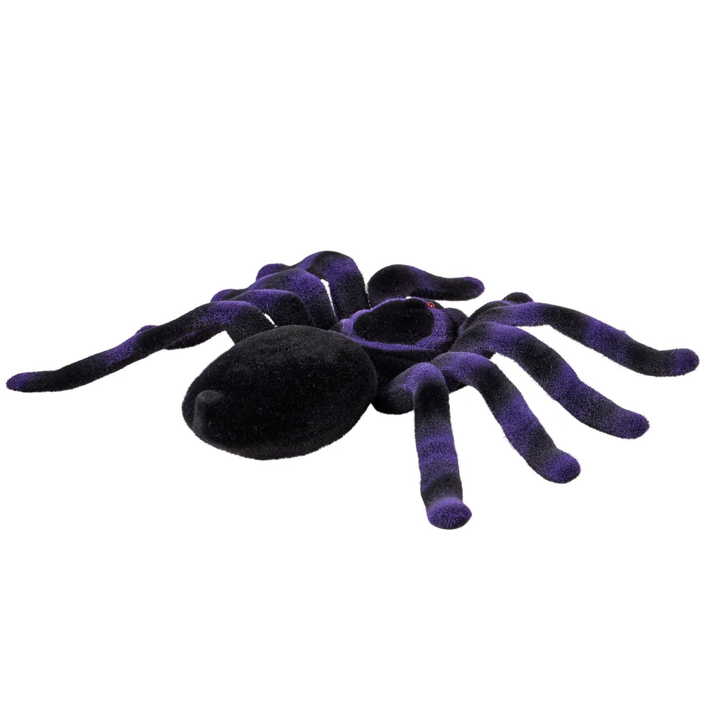 Large Purple Flocked Spider