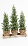 Christmas 15.5"H Holiday Potted Tree Set