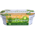 Galvanized Windowsill Herb Grow Kit | Indoor | Gift Set