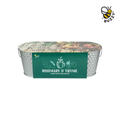 Holiday Spiced Cider Windowsill Herb Kit